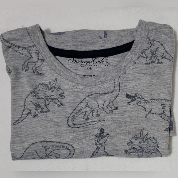 Sovereign Code Boys Gray Navy Blue Dinosaur Short Sleeve‎ Tshirt Size S (8) - Picture 3 of 3